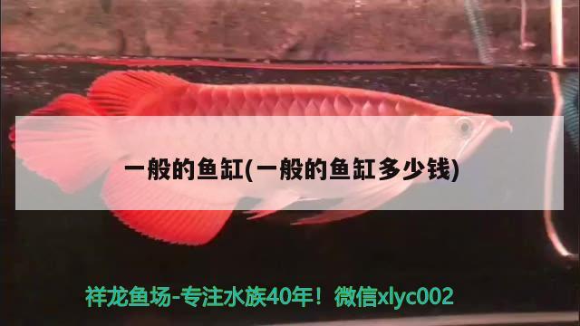 一般的魚缸(一般的魚缸多少錢)