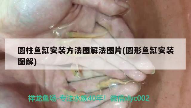 圓柱魚缸安裝方法圖解法圖片(圓形魚缸安裝圖解) 潛水泵