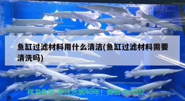 魚缸過濾材料用什么清潔(魚缸過濾材料需要清洗嗎) 稀有紅龍品種