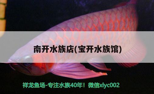 南開水族店(寶開水族館) 三間鼠魚苗