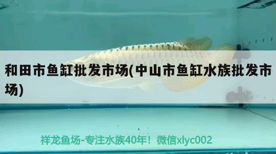 和田市魚缸批發(fā)市場(chǎng)(中山市魚缸水族批發(fā)市場(chǎng)) 觀賞魚水族批發(fā)市場(chǎng)