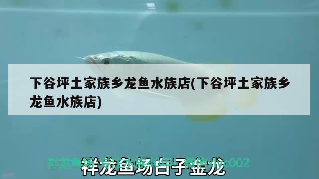 下谷坪土家族鄉(xiāng)龍魚水族店(下谷坪土家族鄉(xiāng)龍魚水族店) 觀賞魚進(jìn)出口