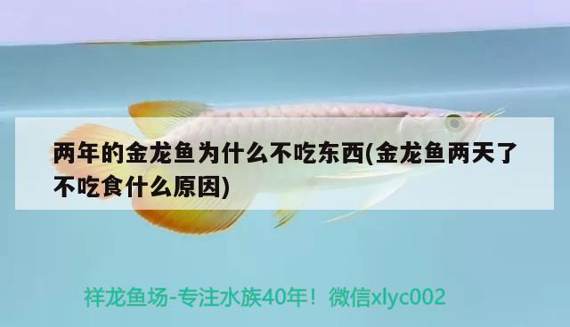 兩年的金龍魚為什么不吃東西(金龍魚兩天了不吃食什么原因)