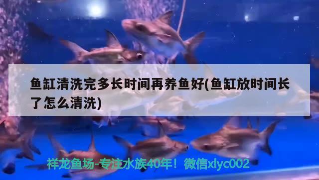 魚缸清洗完多長(zhǎng)時(shí)間再養(yǎng)魚好(魚缸放時(shí)間長(zhǎng)了怎么清洗) 財(cái)神鸚鵡魚