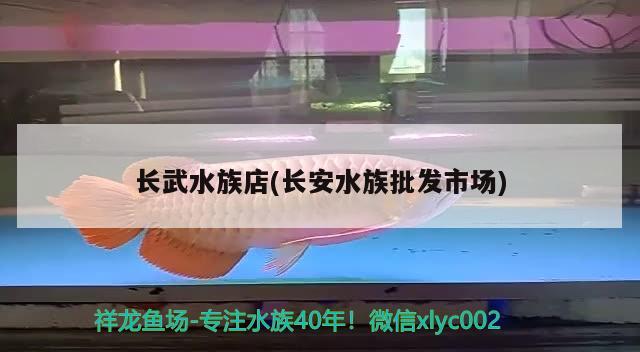 長武水族店(長安水族批發(fā)市場) 觀賞魚水族批發(fā)市場