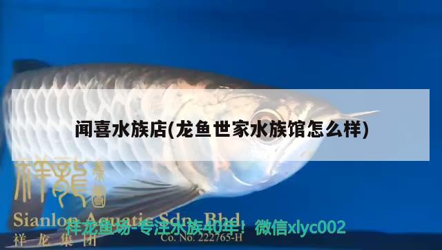 聞喜水族店(龍魚世家水族館怎么樣) 藍(lán)底過(guò)背金龍魚 第2張