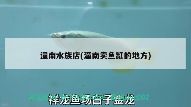 潼南水族店(潼南賣魚缸的地方)