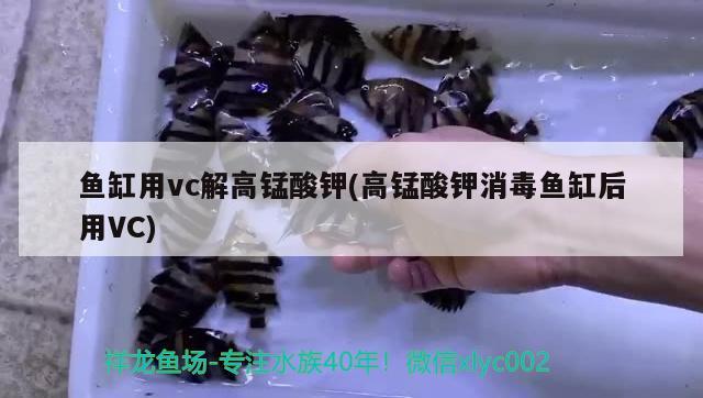 魚缸用vc解高錳酸鉀(高錳酸鉀消毒魚缸后用VC)