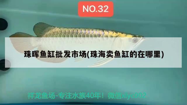 珠暉魚缸批發(fā)市場(珠海賣魚缸的在哪里) 魚缸風(fēng)水