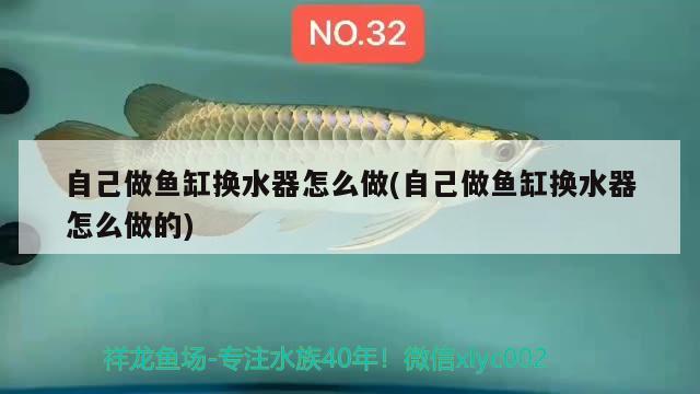 自己做魚缸換水器怎么做(自己做魚缸換水器怎么做的) 夢(mèng)幻雷龍魚