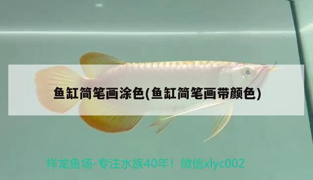 魚缸簡筆畫涂色(魚缸簡筆畫帶顏色) 魚缸風(fēng)水