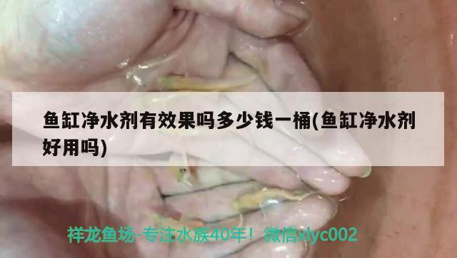 魚缸凈水劑有效果嗎多少錢一桶(魚缸凈水劑好用嗎) 魚缸風水