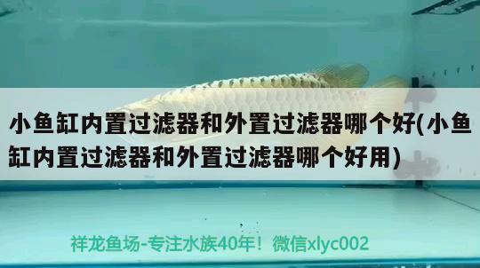 小魚缸內(nèi)置過濾器和外置過濾器哪個(gè)好(小魚缸內(nèi)置過濾器和外置過濾器哪個(gè)好用) 魚缸風(fēng)水