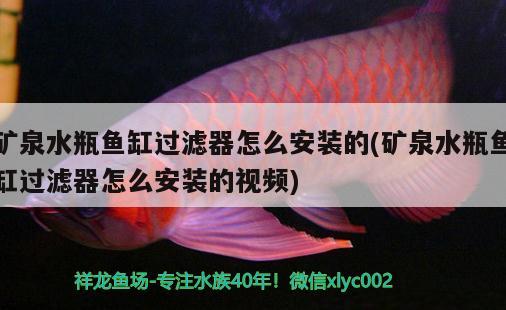 礦泉水瓶魚缸過濾器怎么安裝的(礦泉水瓶魚缸過濾器怎么安裝的視頻)