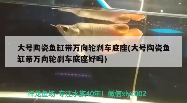 大號陶瓷魚缸帶萬向輪剎車底座(大號陶瓷魚缸帶萬向輪剎車底座好嗎)