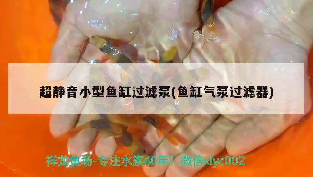 超靜音小型魚缸過濾泵(魚缸氣泵過濾器) 魚缸風(fēng)水