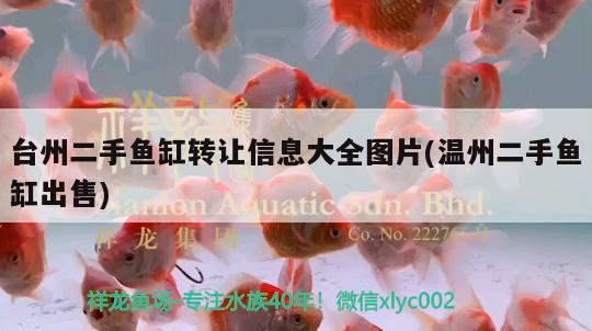 臺州二手魚缸轉讓信息大全圖片(溫州二手魚缸出售) 電鰻