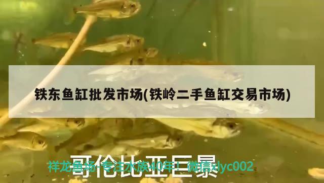 鐵東魚(yú)缸批發(fā)市場(chǎng)(鐵嶺二手魚(yú)缸交易市場(chǎng)) 魚(yú)缸風(fēng)水