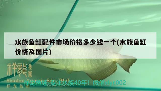 水族魚缸配件市場價格多少錢一個(水族魚缸價格及圖片) 魚缸風水