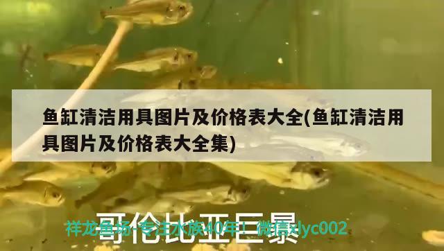 魚缸清潔用具圖片及價格表大全(魚缸清潔用具圖片及價格表大全集) 魚缸風水