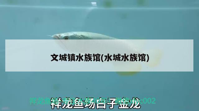 文城鎮(zhèn)水族館(水城水族館) 和尚魚