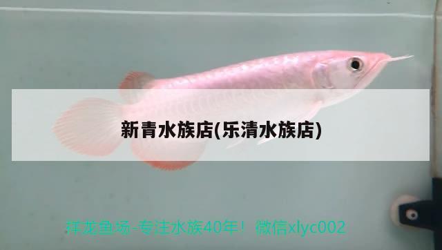 新青水族店(樂清水族店) 魚糧魚藥