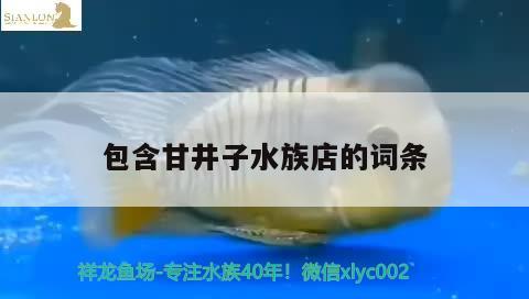 包含甘井子水族店的詞條 暹羅巨鯉