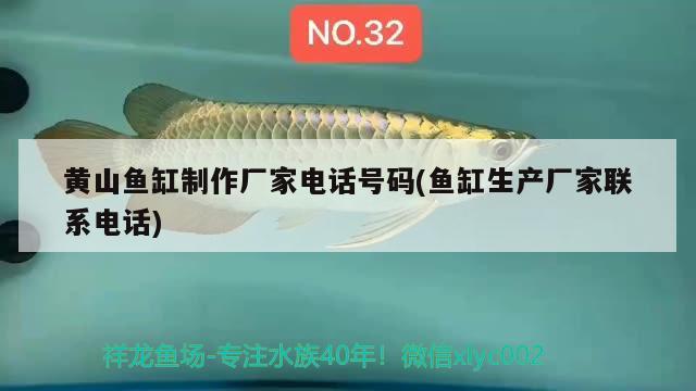 黃山魚缸制作廠家電話號(hào)碼(魚缸生產(chǎn)廠家聯(lián)系電話)