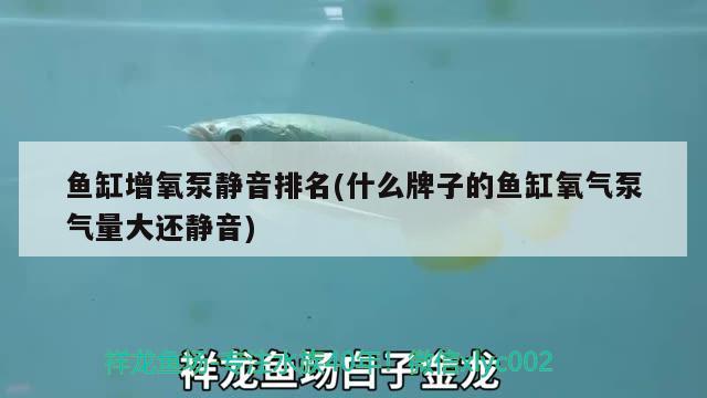 魚(yú)缸增氧泵靜音排名(什么牌子的魚(yú)缸氧氣泵氣量大還靜音) 魚(yú)缸風(fēng)水