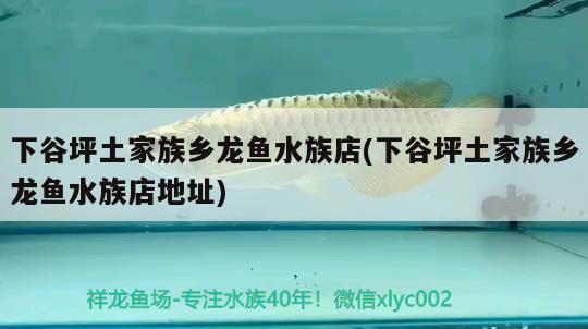 下谷坪土家族鄉(xiāng)龍魚水族店(下谷坪土家族鄉(xiāng)龍魚水族店地址)