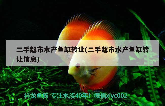 二手超市水產(chǎn)魚缸轉(zhuǎn)讓(二手超市水產(chǎn)魚缸轉(zhuǎn)讓信息) 可麗愛魚缸