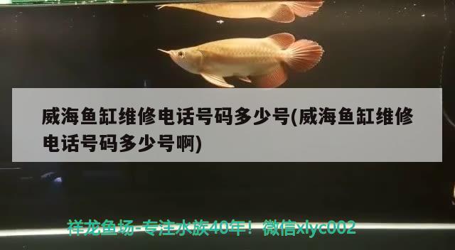 威海魚(yú)缸維修電話號(hào)碼多少號(hào)(威海魚(yú)缸維修電話號(hào)碼多少號(hào)啊)