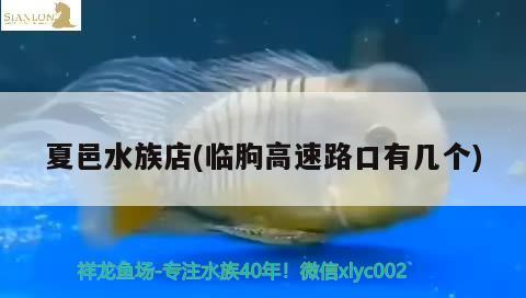 夏邑水族店(臨朐高速路口有幾個) 照明器材