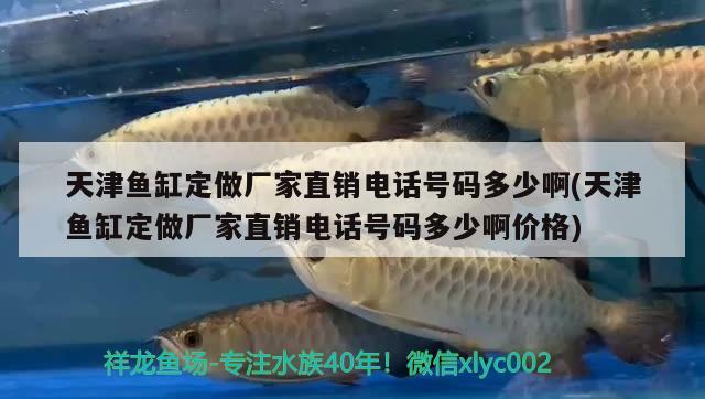 天津魚缸定做廠家直銷電話號碼多少啊(天津魚缸定做廠家直銷電話號碼多少啊價格)