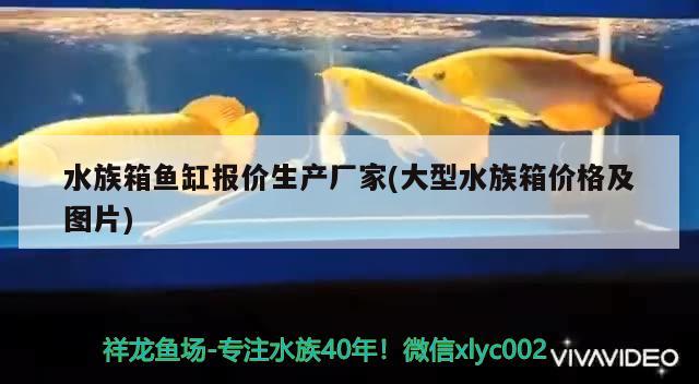 水族箱魚(yú)缸報(bào)價(jià)生產(chǎn)廠(chǎng)家(大型水族箱價(jià)格及圖片) 魚(yú)缸/水族箱