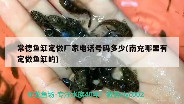 常德魚缸定做廠家電話號碼多少(南充哪里有定做魚缸的) 元寶鳳凰魚