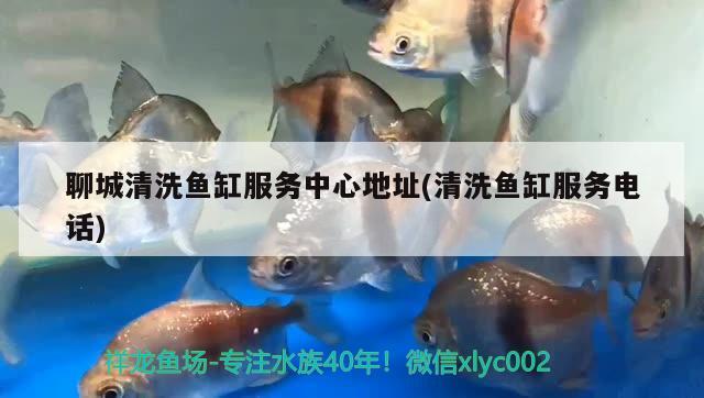 聊城清洗魚缸服務(wù)中心地址(清洗魚缸服務(wù)電話) 過濾設(shè)備