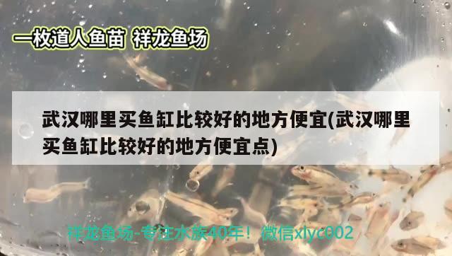 武漢哪里買魚缸比較好的地方便宜(武漢哪里買魚缸比較好的地方便宜點(diǎn)) 水族燈（魚缸燈）