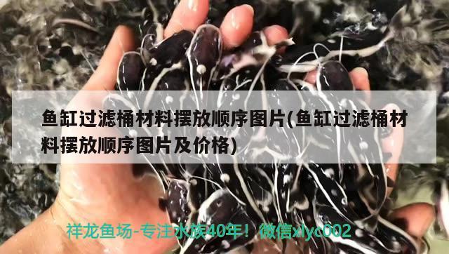 魚缸過濾桶材料擺放順序圖片(魚缸過濾桶材料擺放順序圖片及價(jià)格) 黃金鴨嘴魚