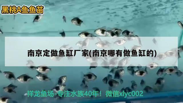 南京定做魚缸廠家(南京哪有做魚缸的) 觀賞魚魚苗