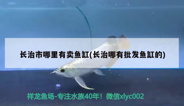 長(zhǎng)治市哪里有賣(mài)魚(yú)缸(長(zhǎng)治哪有批發(fā)魚(yú)缸的) 魚(yú)缸風(fēng)水