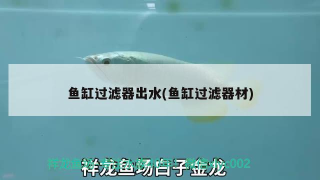 魚缸過濾器出水(魚缸過濾器材) 野生埃及神仙魚