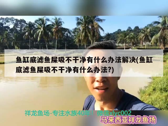 魚缸底濾魚屎吸不干凈有什么辦法解決(魚缸底濾魚屎吸不干凈有什么辦法？) 黃金招財(cái)貓魚