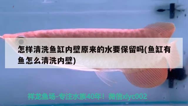 怎樣清洗魚缸內(nèi)壁原來的水要保留嗎(魚缸有魚怎么清洗內(nèi)壁)