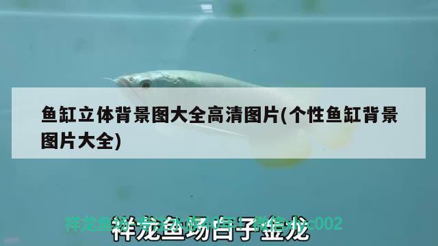 魚(yú)缸立體背景圖大全高清圖片(個(gè)性魚(yú)缸背景圖片大全) 魚(yú)缸風(fēng)水