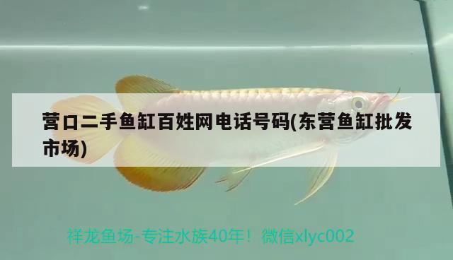 營(yíng)口二手魚(yú)缸百姓網(wǎng)電話(huà)號(hào)碼(東營(yíng)魚(yú)缸批發(fā)市場(chǎng)) 祥龍進(jìn)口元寶鳳凰魚(yú)