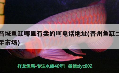 晉城魚缸哪里有賣的啊電話地址(晉州魚缸二手市場(chǎng)) 電鰻