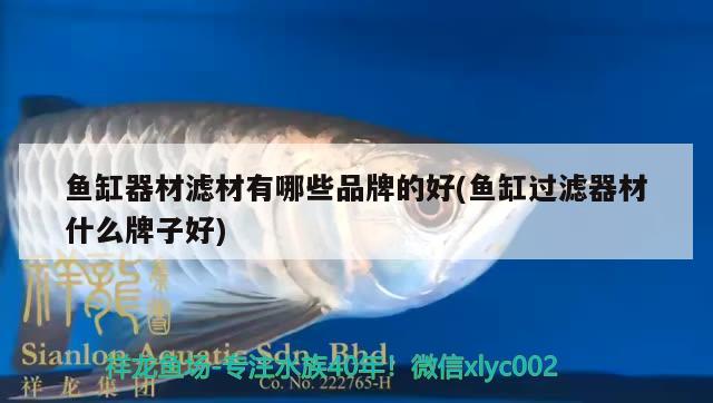 魚(yú)缸器材濾材有哪些品牌的好(魚(yú)缸過(guò)濾器材什么牌子好) 玫瑰銀版魚(yú)