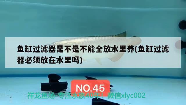 魚缸過濾器是不是不能全放水里養(yǎng)(魚缸過濾器必須放在水里嗎) 養(yǎng)魚知識