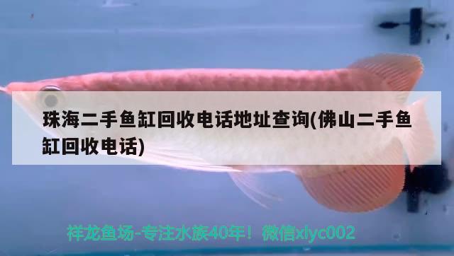 珠海二手魚缸回收電話地址查詢(佛山二手魚缸回收電話)